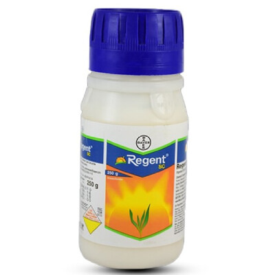 REGENT - INSECTICIDE