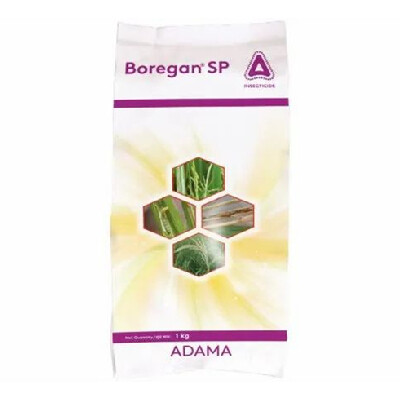 BOREGAN–INSECTICIDE