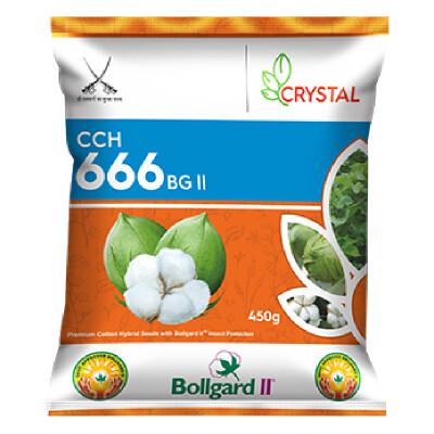 CRYSTAL CCH 666 BG II - COTTON SEEDS