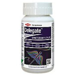 DELEGATE -INSECTICIDE