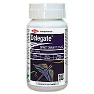 DELEGATE -INSECTICIDE