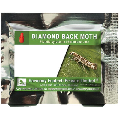 Plutella xylostella-Diamond Back moth – LURE