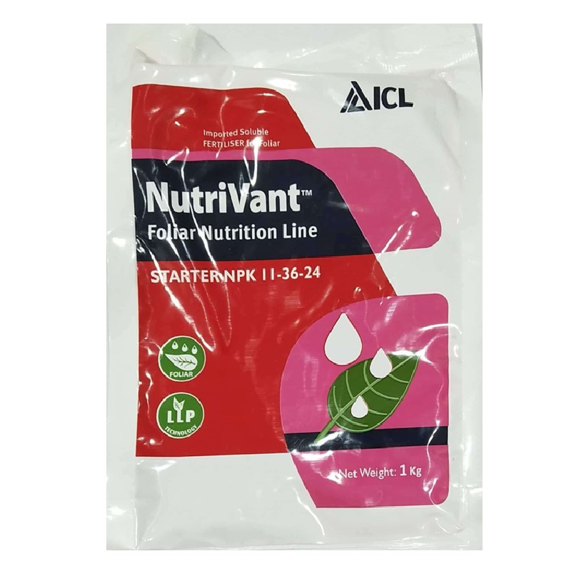 ICL Nutrivant starter -PGR