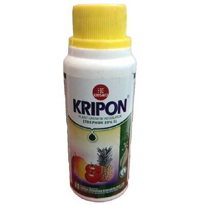 KRIPON - PGR
