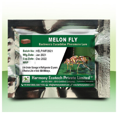 Batrocera cucurbitae-Melon fly- LURES