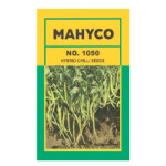 NO: 1050 – HYBRID CHILLI SEEDS