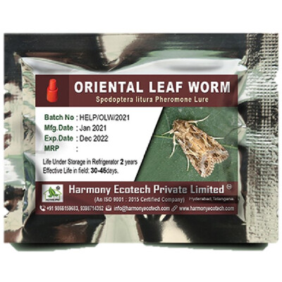 Spodoptera litura-Oriental leaf worm- LURES
