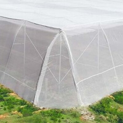 Anti Insect Net - Pest Control Mesh