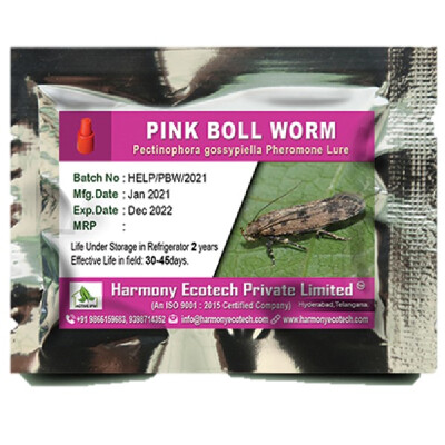 Pectinophora gossypiella-Pink bollworm- LURES