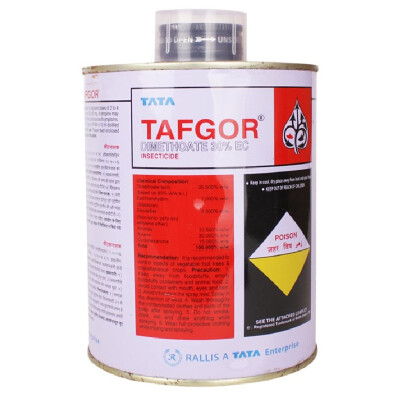 TAFGOR - INSECTICIDE